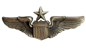 USAF Senior Pilot Wings Pin