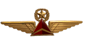 Vintage Delta Airlines Pilot Pin