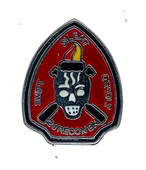 USMC 2nd Recon Battalion Pin