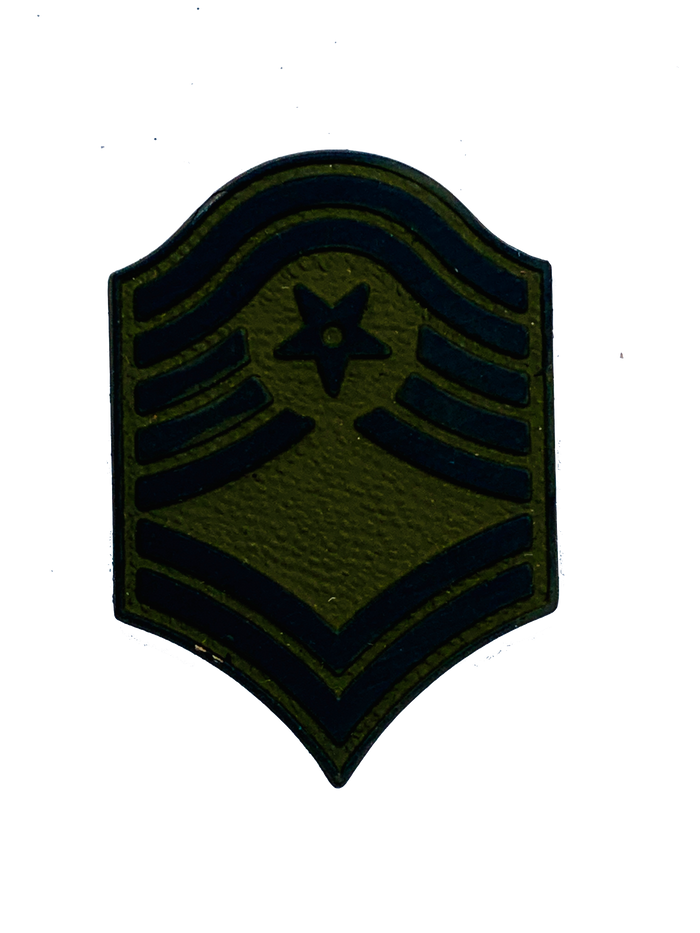 USAF Senior Master Sergeant Subdued Rank Pin