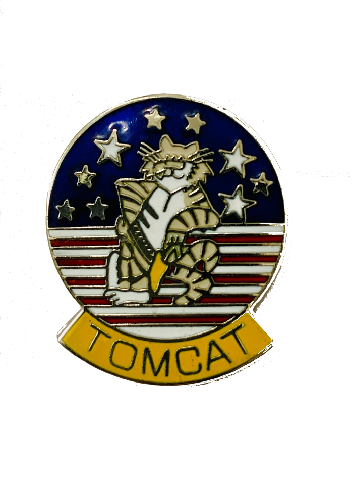 USN Navy Tomcat Pin