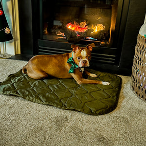 Woobie Pet Bed