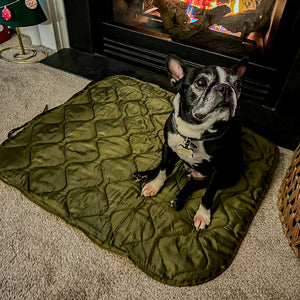 Cat / Dog Woobie Poncho Liner Bed