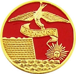 Army Corps Engineer Essayons Pin