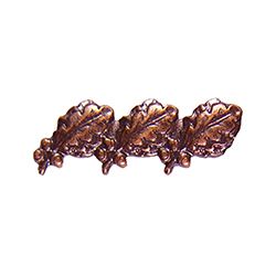 Bronze 3 Leaf Oak Leaf Cluster Device