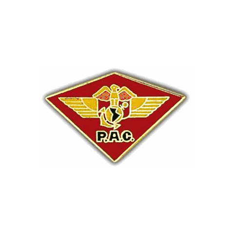 USMC Vintage P.A.C. MC Wing Pin