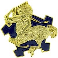 9th Cavalry Regiment Insignia Pin