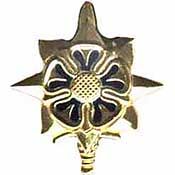 U.S. Army Military Intelligence Officer Pin