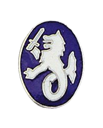 Army Philippine Department Pin