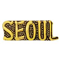 Korean War Seoul Pin