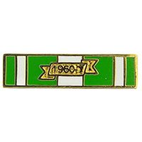 Vietnam 1960- Campaign Ribbon Pin