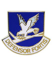 USAF Defensor Fortis Pin
