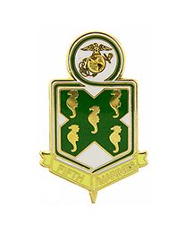 USMC 5th Marine Regiment Pin