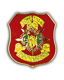 USMC 8th Marine Regiment Pin