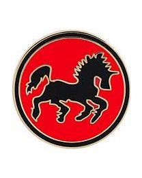 USN Black Ponies Pin