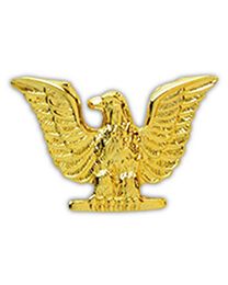 USN Enlisted Gold Left Pin