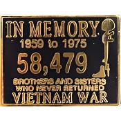 Vietnam Memorial Pin