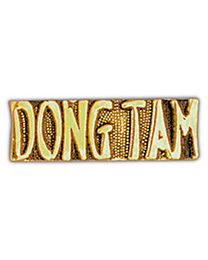 Vietnam Script DONG TAM  Pin