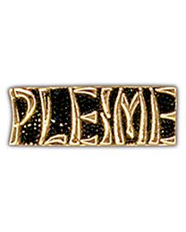 Vietnam Script PLEIME Pin