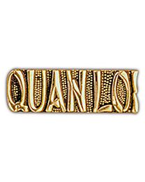 Vietnam Script QUANLOI Pin