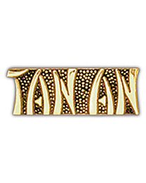 Vietnam Script TAN AN Pin