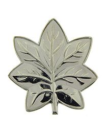 USMC Lieutenant Colonel Silver Coat Rank Pin