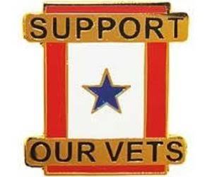 Family Member In Service 1 Blue Star (Support Our Vets) Pin