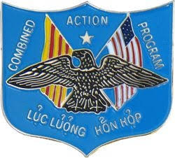 Vietnam Combined Action Program Pin