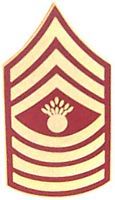 USMC E-9 Master Gunnery Sergeant Red/Gold Rank Pin