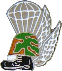 USMC Airborne Vietnam Pin