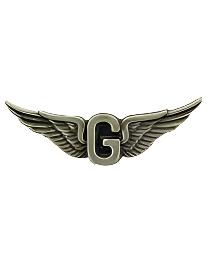 ARMY Door Gunner Aviator Wings Badge Pin