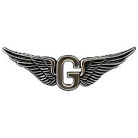 ARMY Door Gunner Aviator Wings Badge Pin