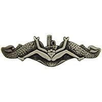 Bush Wings Naval Pin