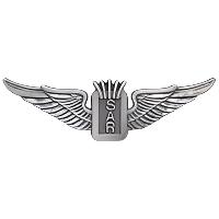 Fire Search & Rescue Aviator Wings Badge Pin