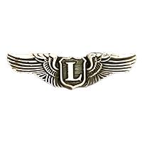 USAF Liaison Pilot Aviator Wings Badge Pin