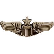 USAF Senior Pilot Aviator Wings Badge Pin