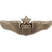USAF Senior Pilot Wings Mini Pin