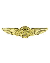 USN Aircrew Aviator Wings Badge Pin