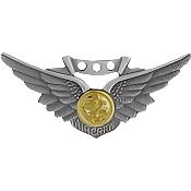 USN Combat Aircrew Aviator Wings Badge Pin