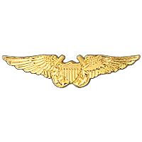 USN Flight Officer Aviator Wings Badge Pin