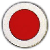 37th Infantry Division Insignia Pin