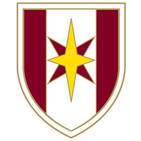 44th Medical Brigade Insignia Pin